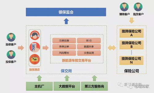 新能源車險(xiǎn)專屬交易平臺(tái)正式上線 保費(fèi)暴漲 圖片